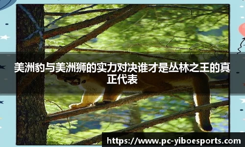 亿博电竞平台